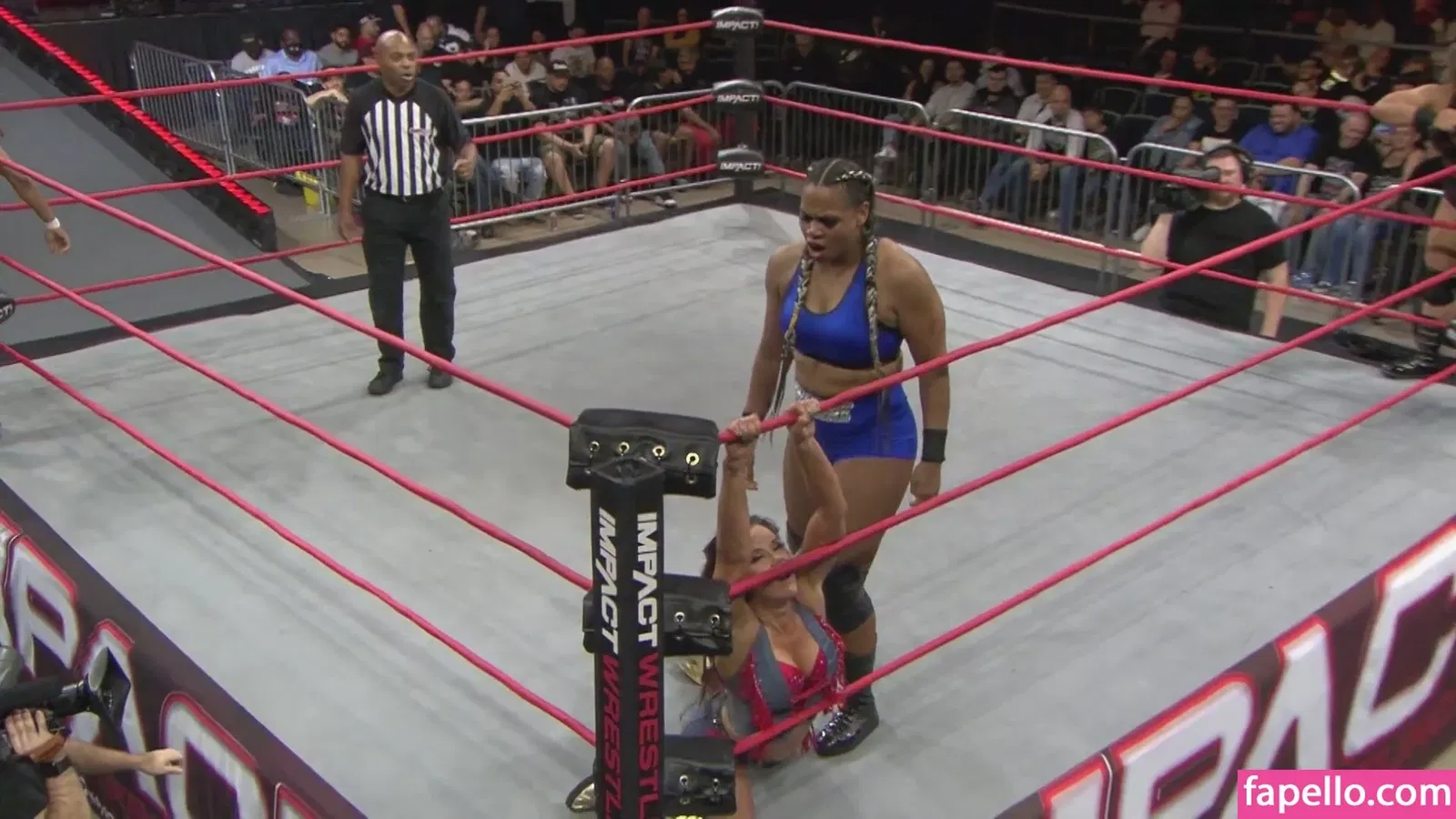 Mickie James Onlyfans Photo Gallery 