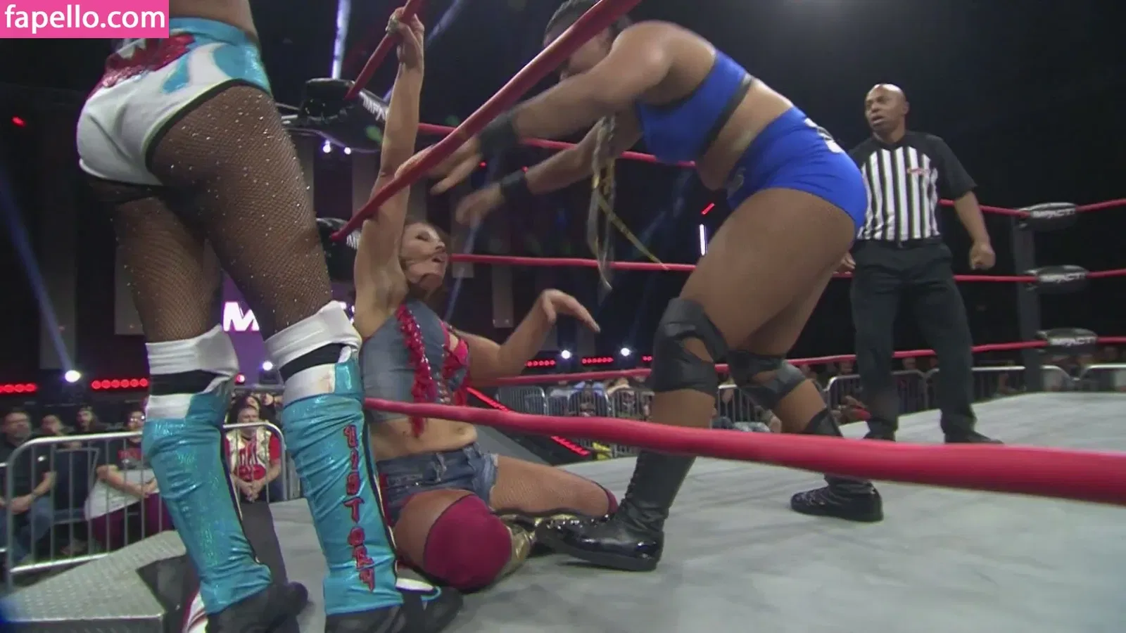 Mickie James Onlyfans Photo Gallery 