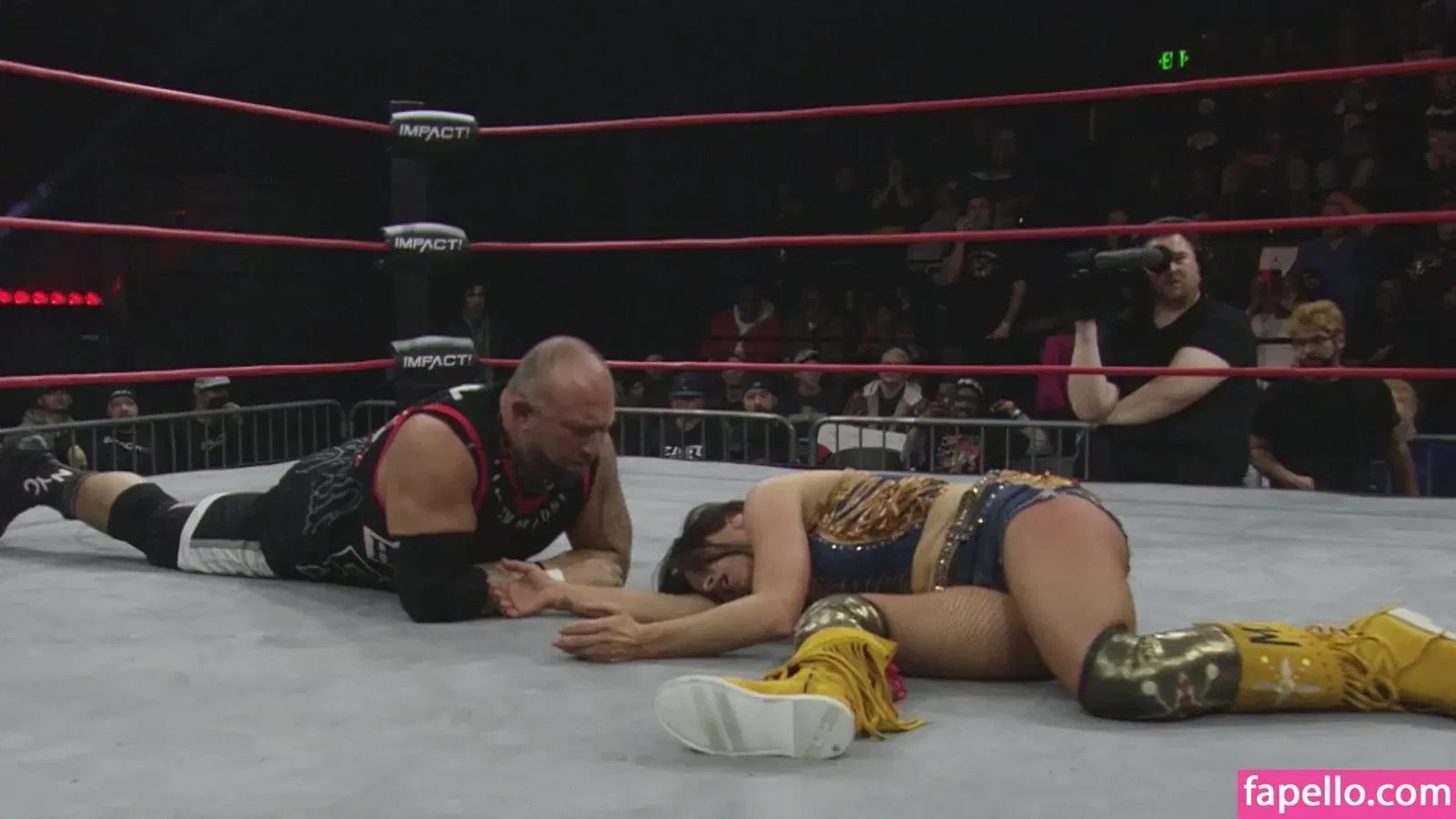 Mickie James Onlyfans Photo Gallery 