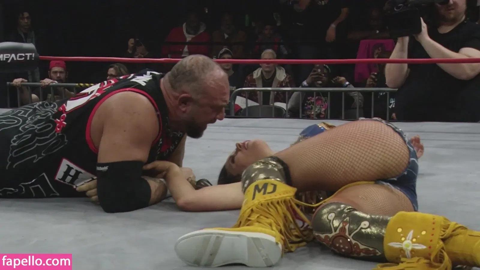 Mickie James Onlyfans Photo Gallery 