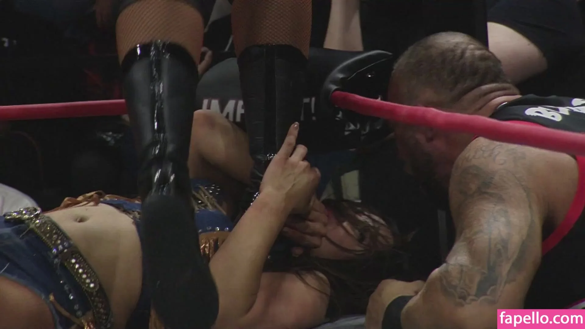 Mickie James Onlyfans Photo Gallery 