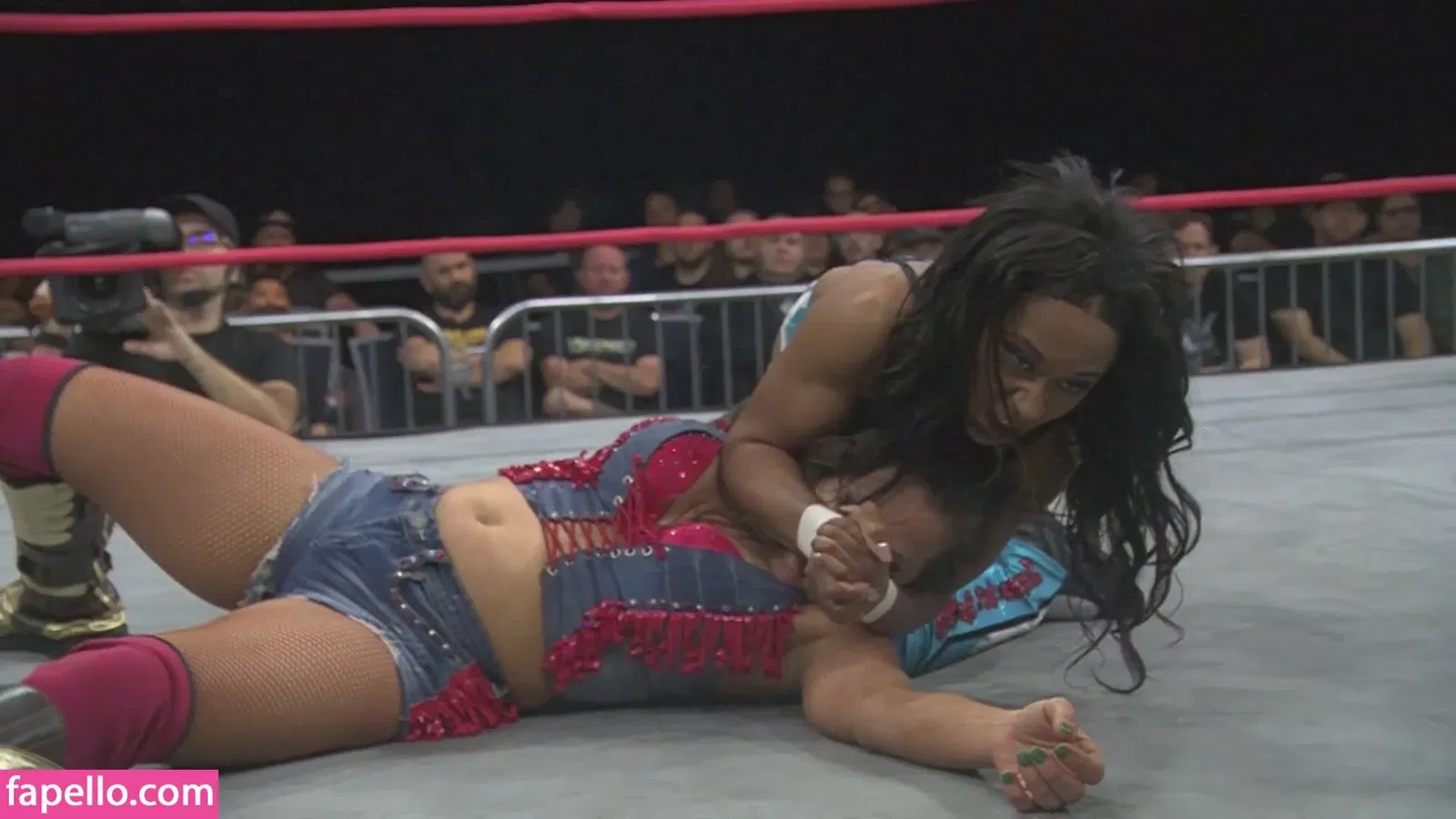 Mickie James Onlyfans Photo Gallery 