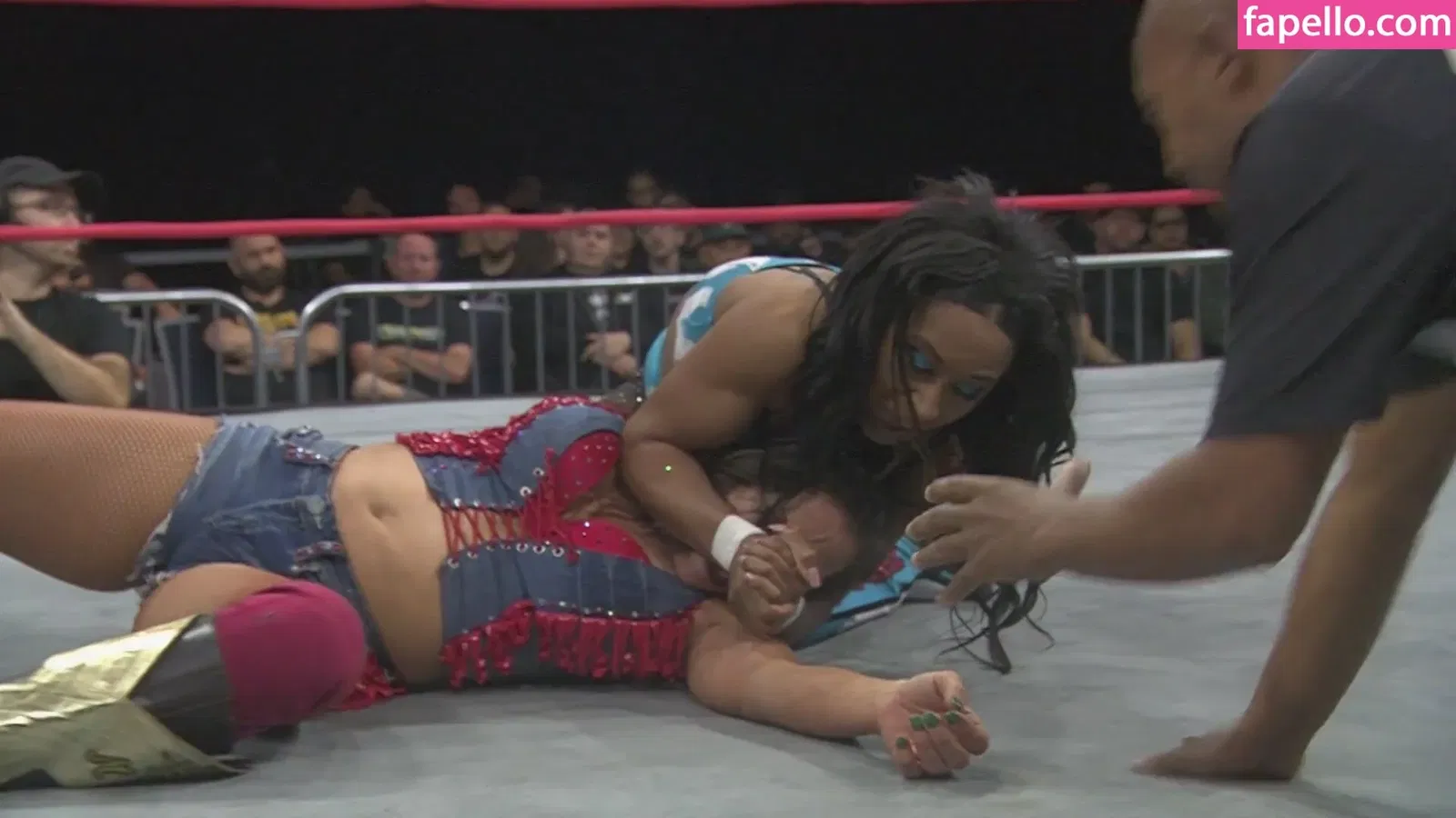 Mickie James Onlyfans Photo Gallery 