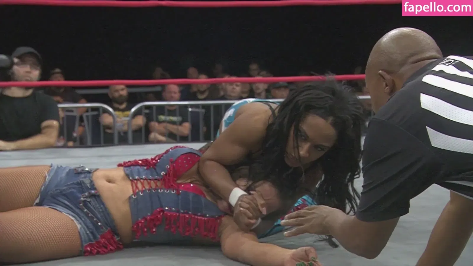 Mickie James Onlyfans Photo Gallery 