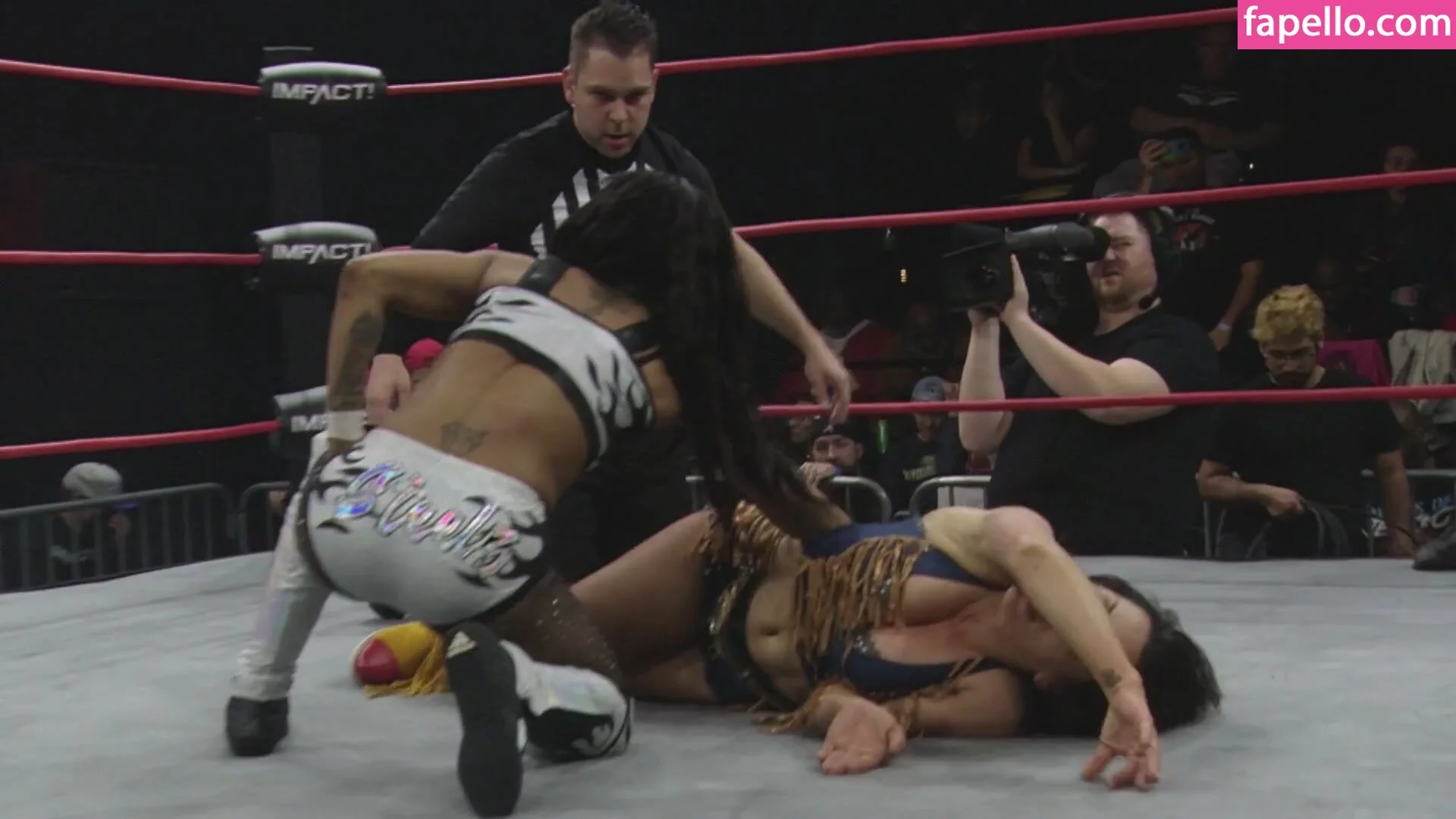 Mickie James Onlyfans Photo Gallery 