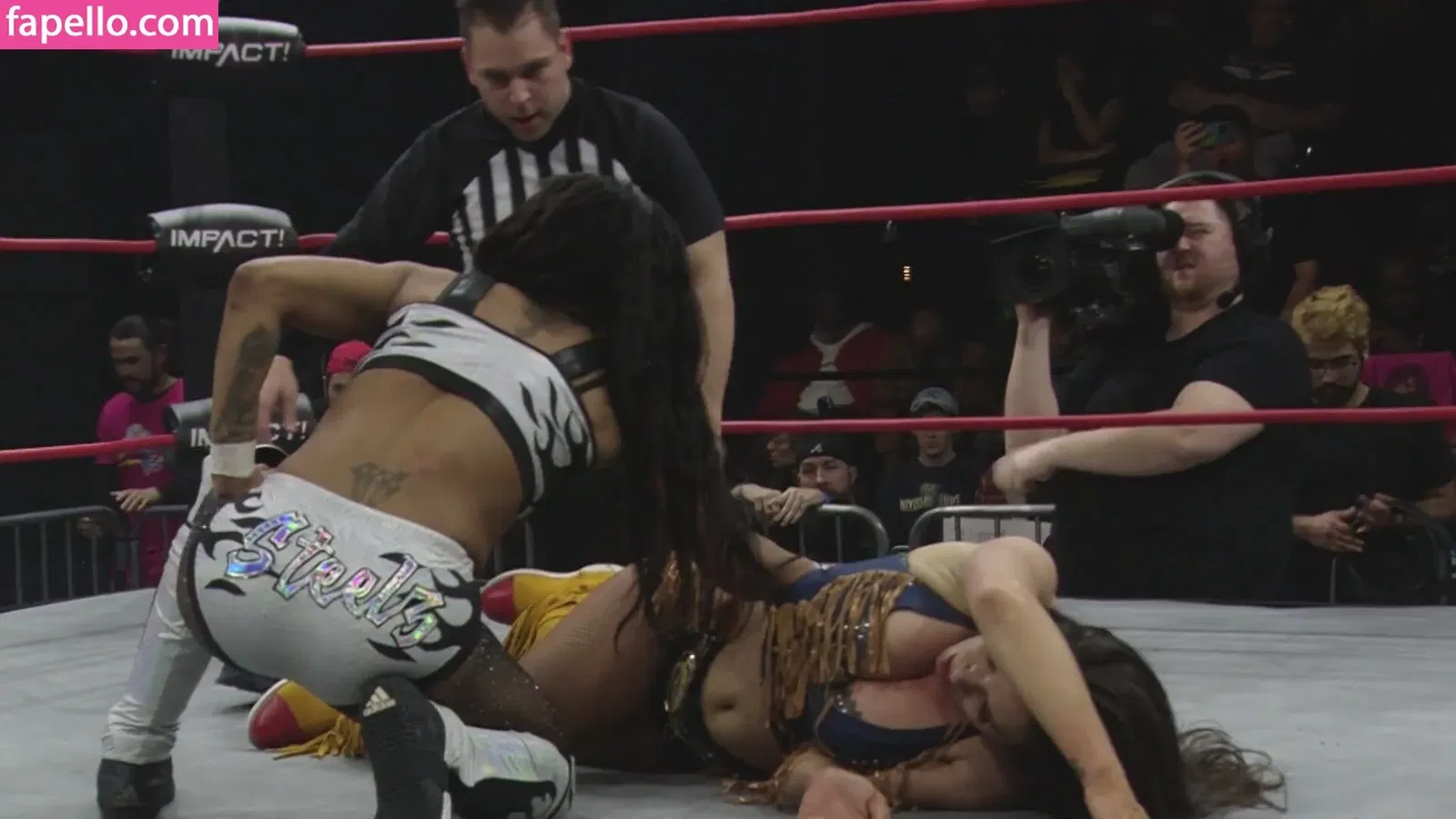 Mickie James Onlyfans Photo Gallery 