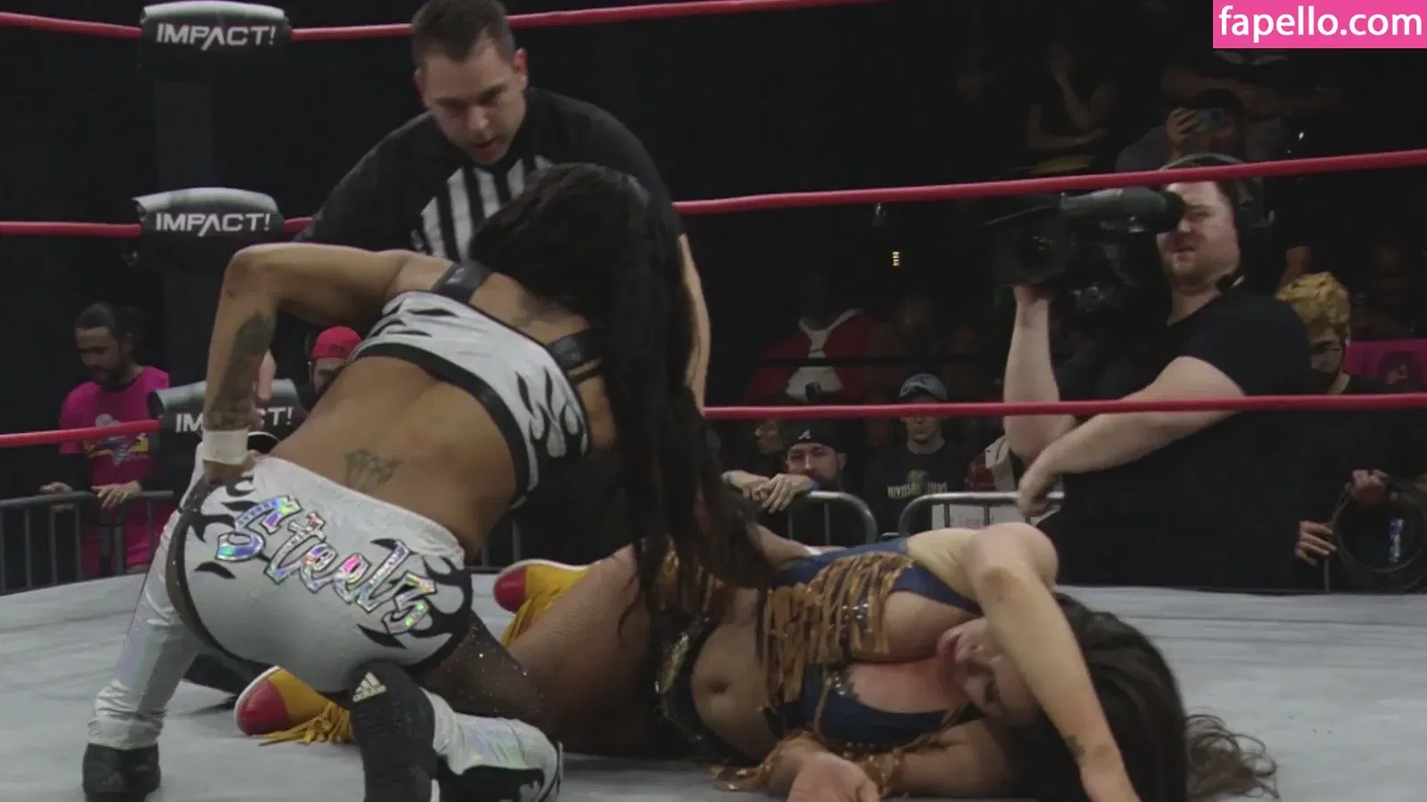 Mickie James Onlyfans Photo Gallery 