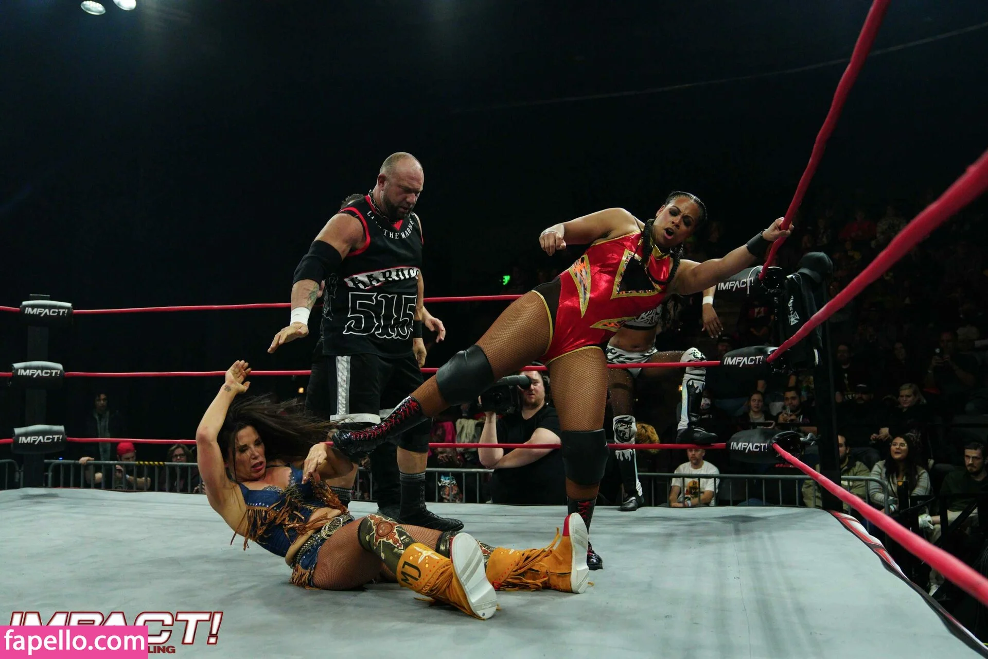 Mickie James Onlyfans Photo Gallery 