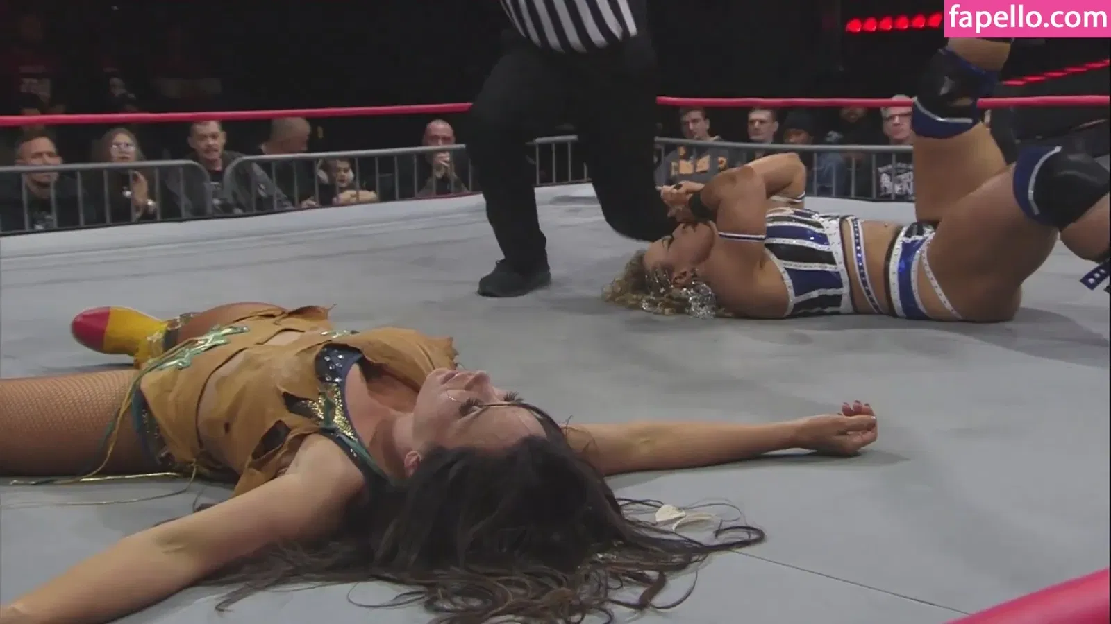 Mickie James Onlyfans Photo Gallery 