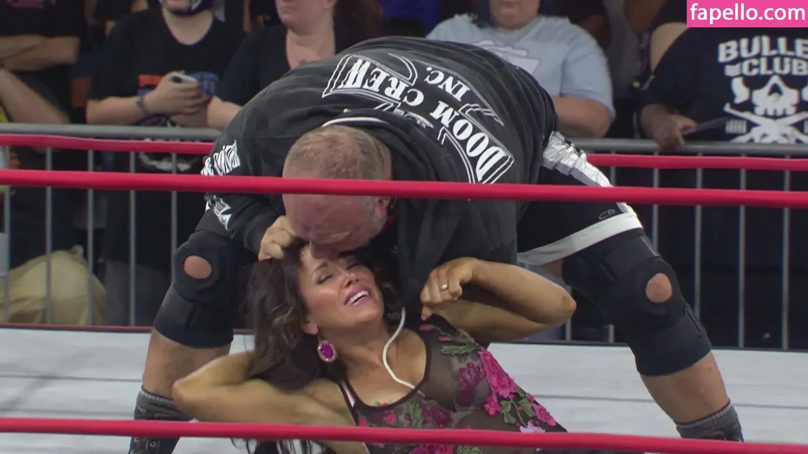 Mickie James Onlyfans Photo Gallery 