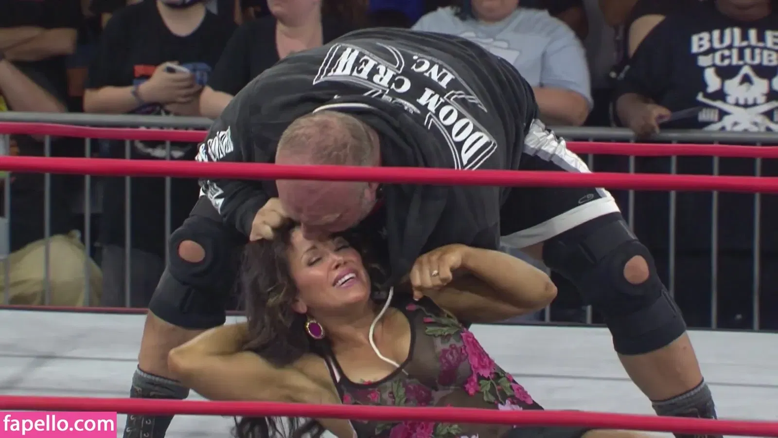 Mickie James Onlyfans Photo Gallery 