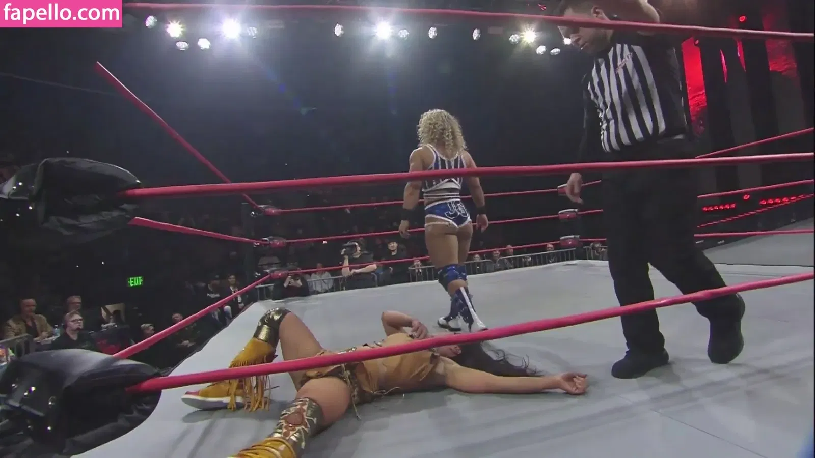 Mickie James Onlyfans Photo Gallery 