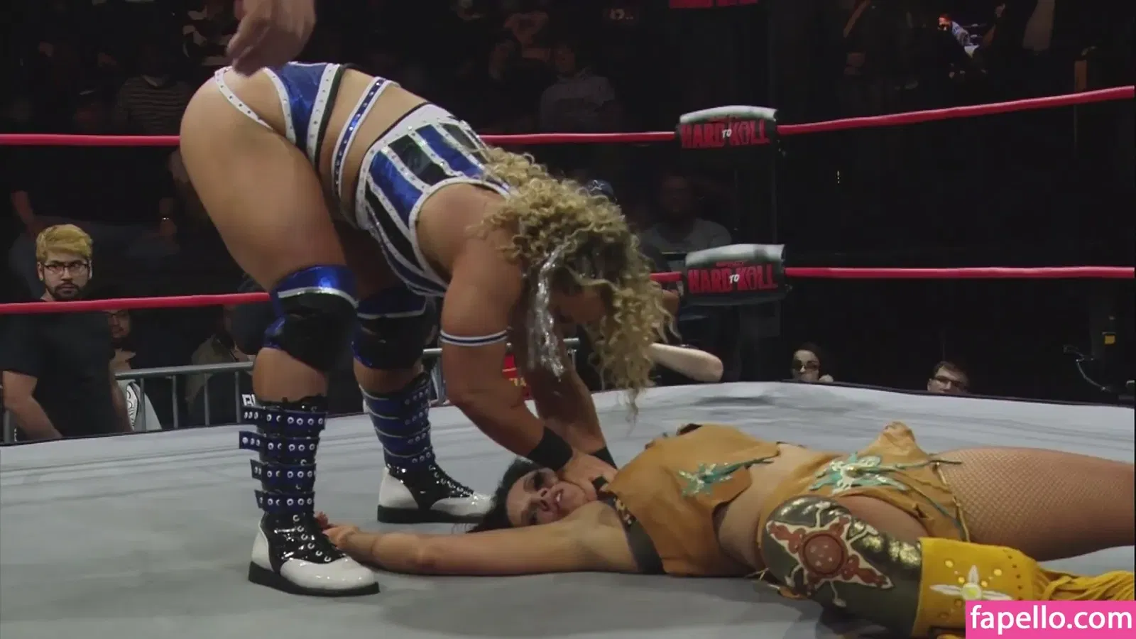 Mickie James Onlyfans Photo Gallery 