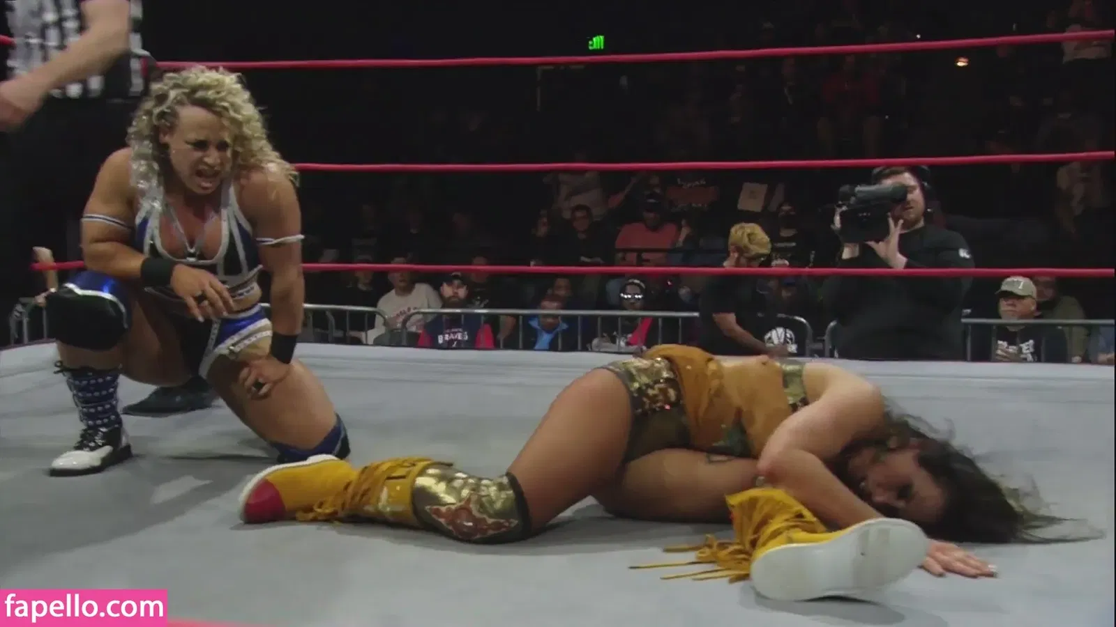 Mickie James Onlyfans Photo Gallery 