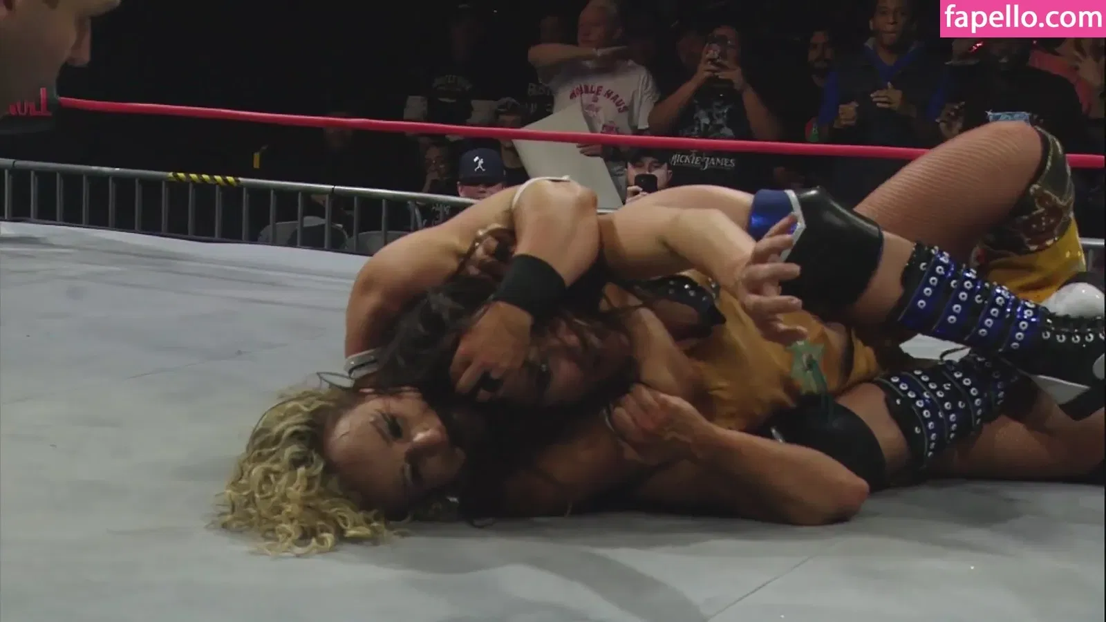 Mickie James Onlyfans Photo Gallery 