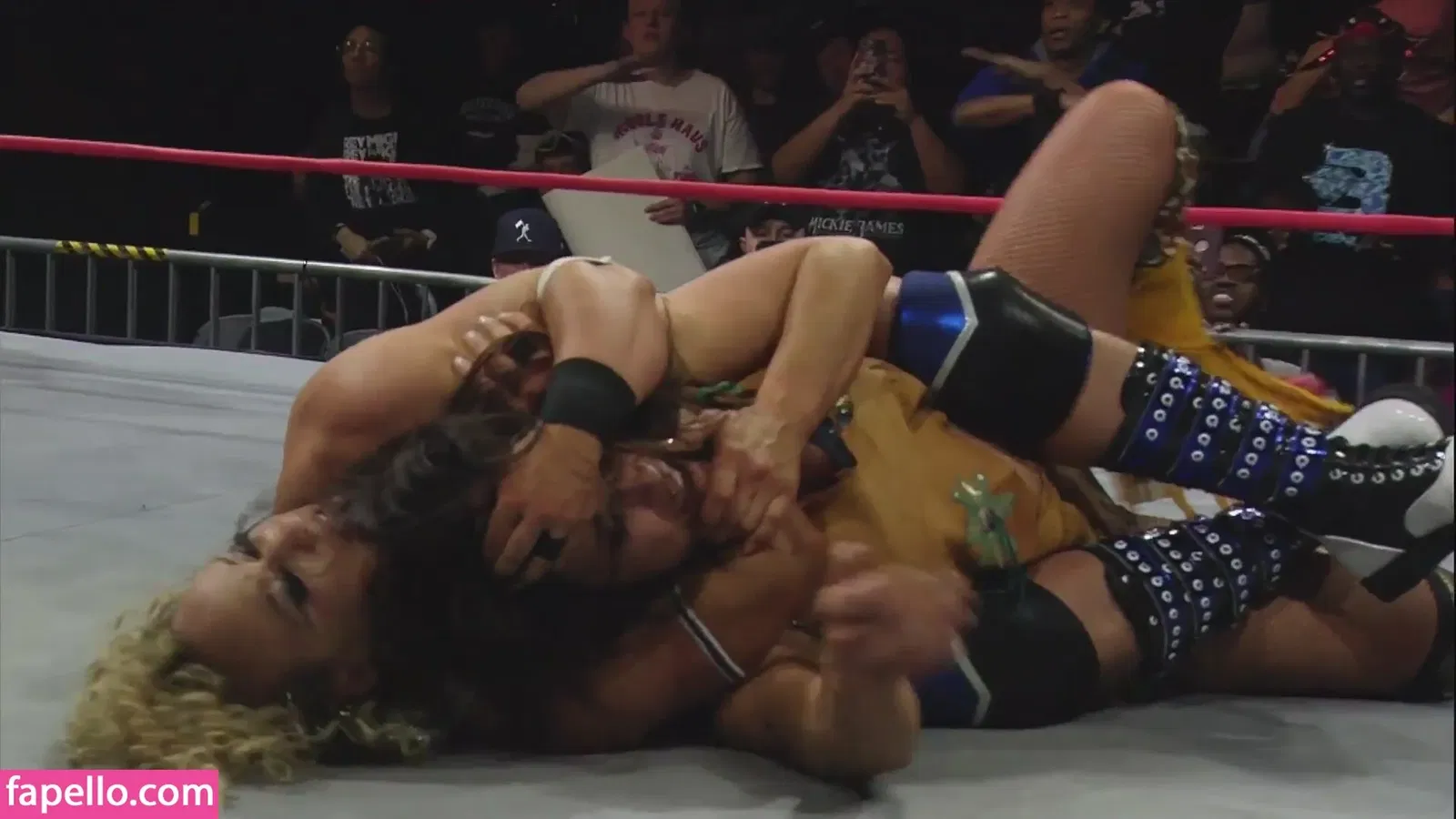 Mickie James Onlyfans Photo Gallery 