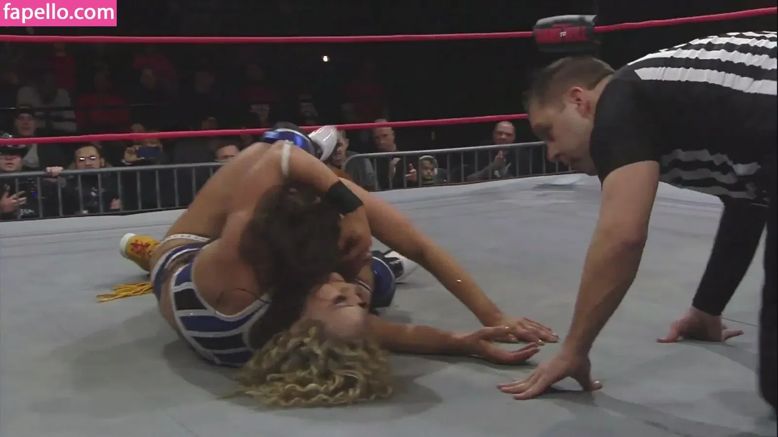 Mickie James Onlyfans Photo Gallery 