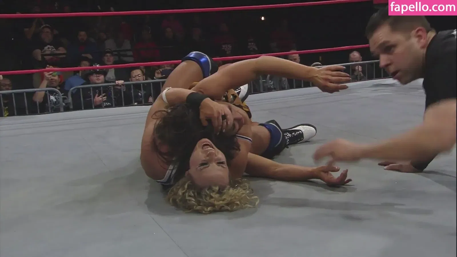 Mickie James Onlyfans Photo Gallery 