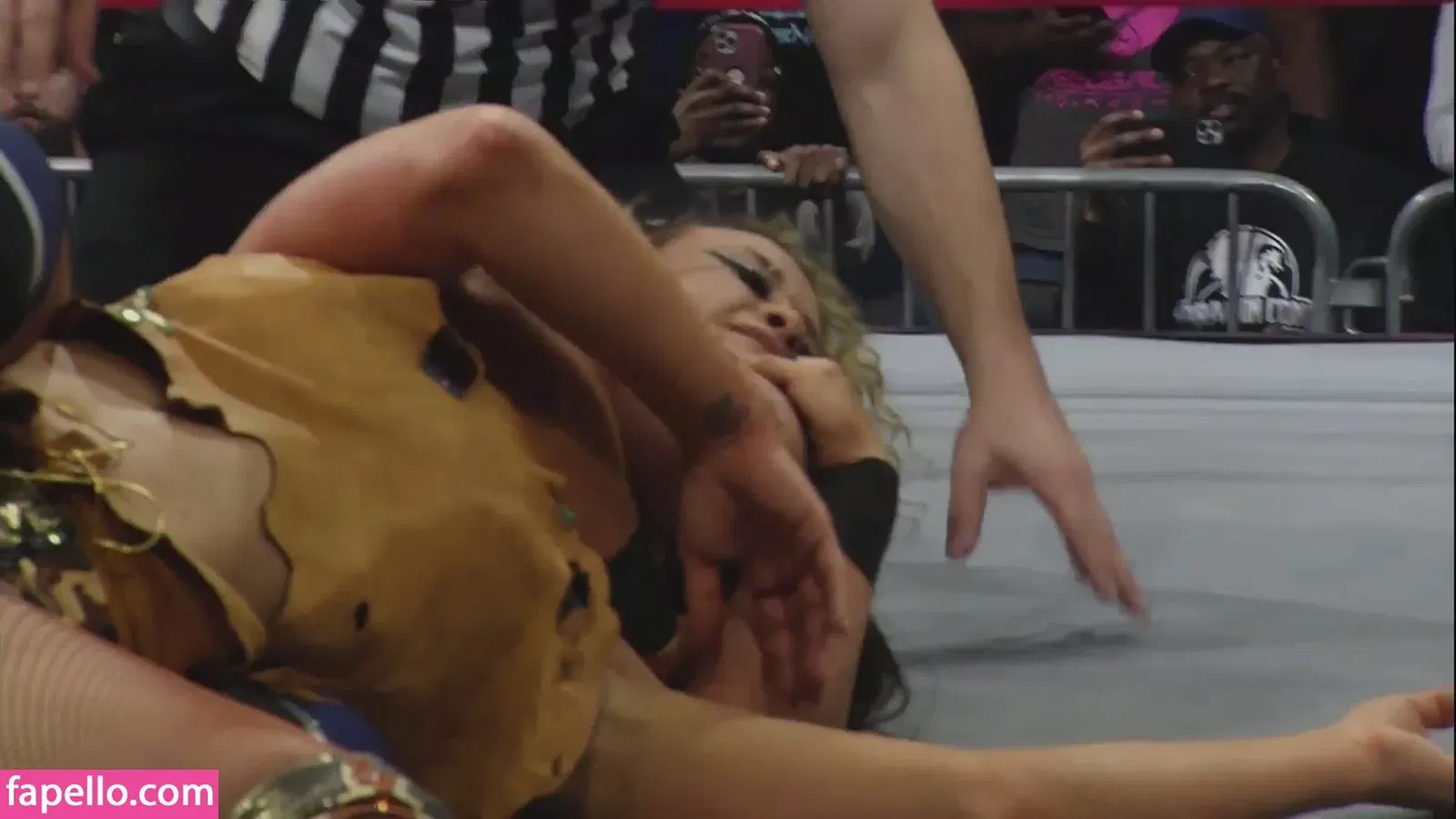 Mickie James Onlyfans Photo Gallery 