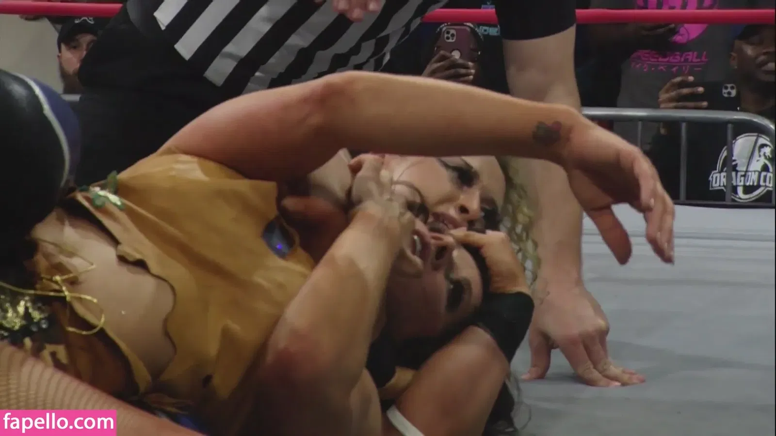 Mickie James Onlyfans Photo Gallery 