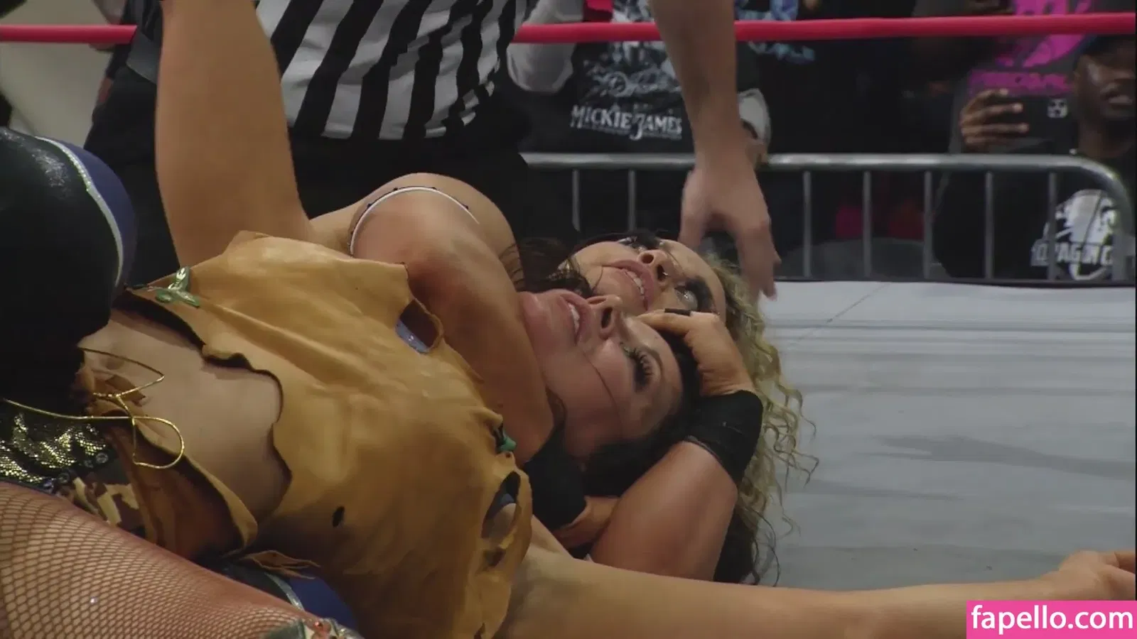 Mickie James Onlyfans Photo Gallery 