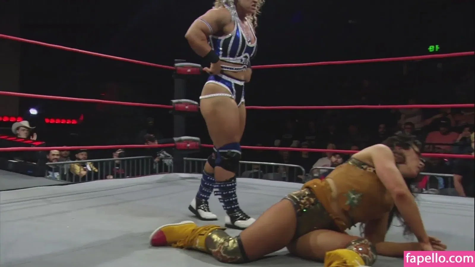 Mickie James Onlyfans Photo Gallery 