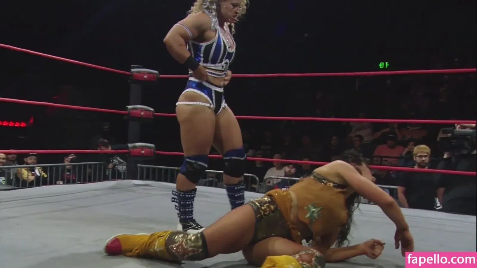 Mickie James Onlyfans Photo Gallery 