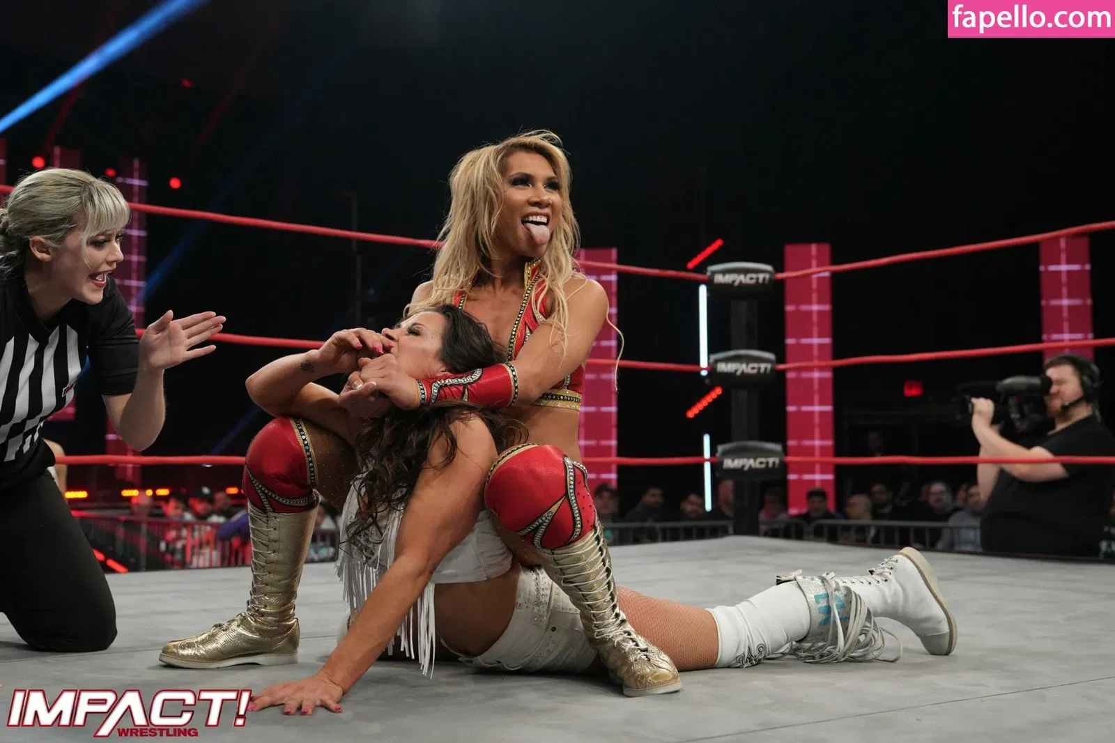 Mickie James Onlyfans Photo Gallery 