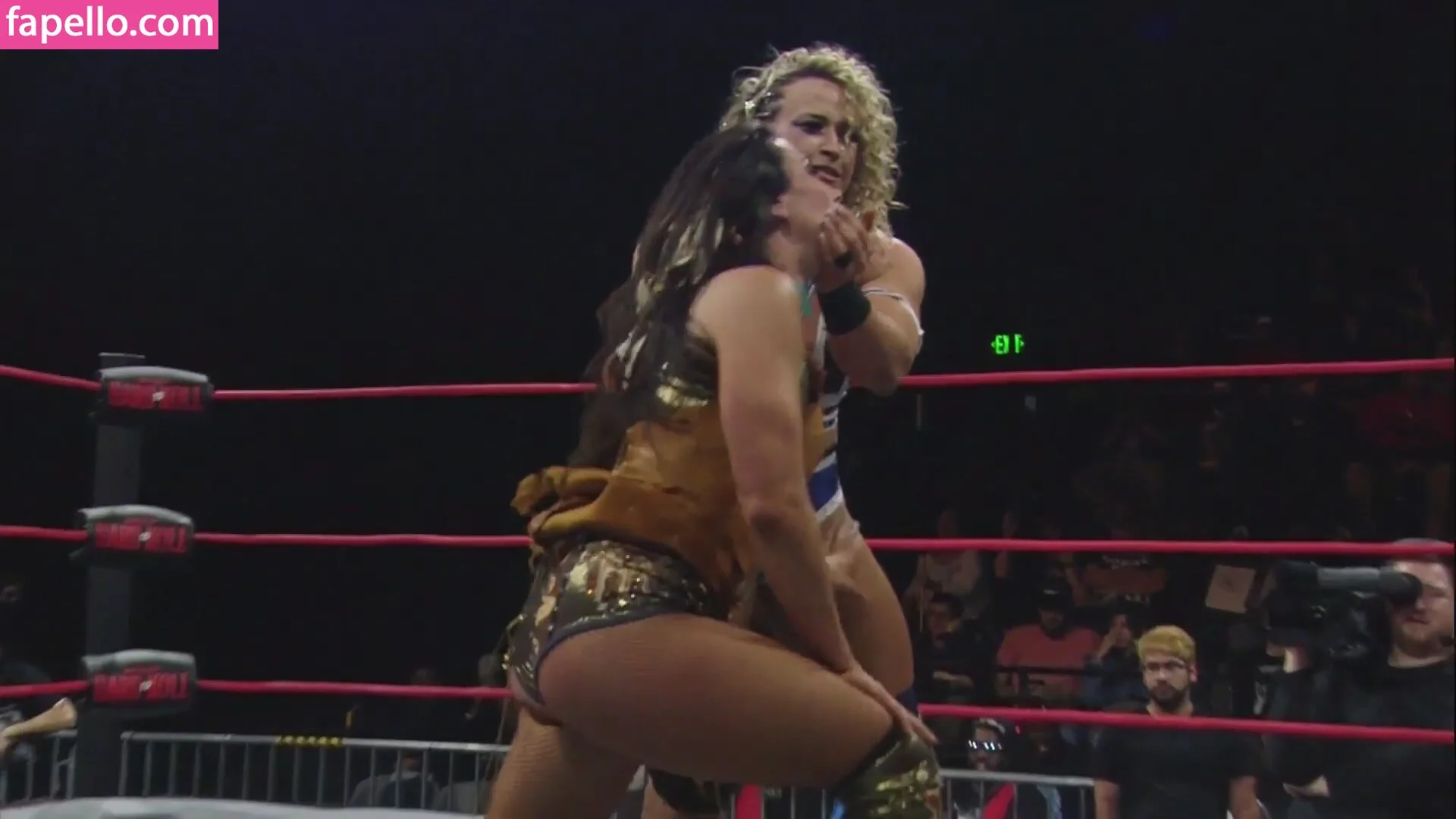 Mickie James Onlyfans Photo Gallery 