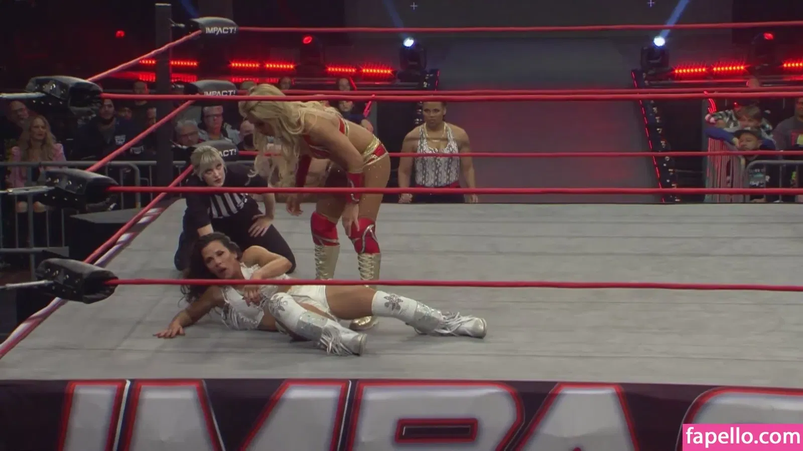 Mickie James Onlyfans Photo Gallery 