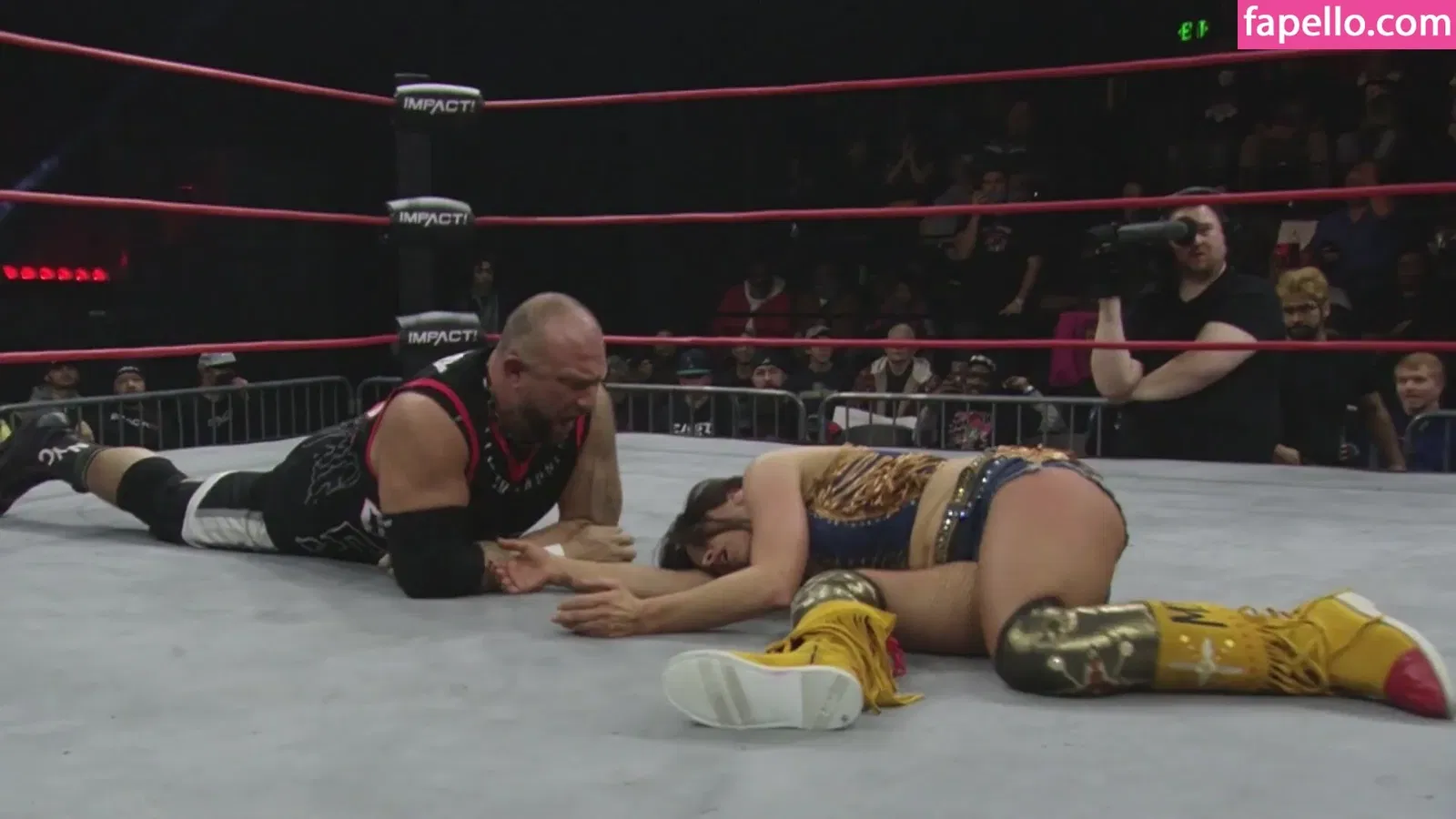 Mickie James Onlyfans Photo Gallery 