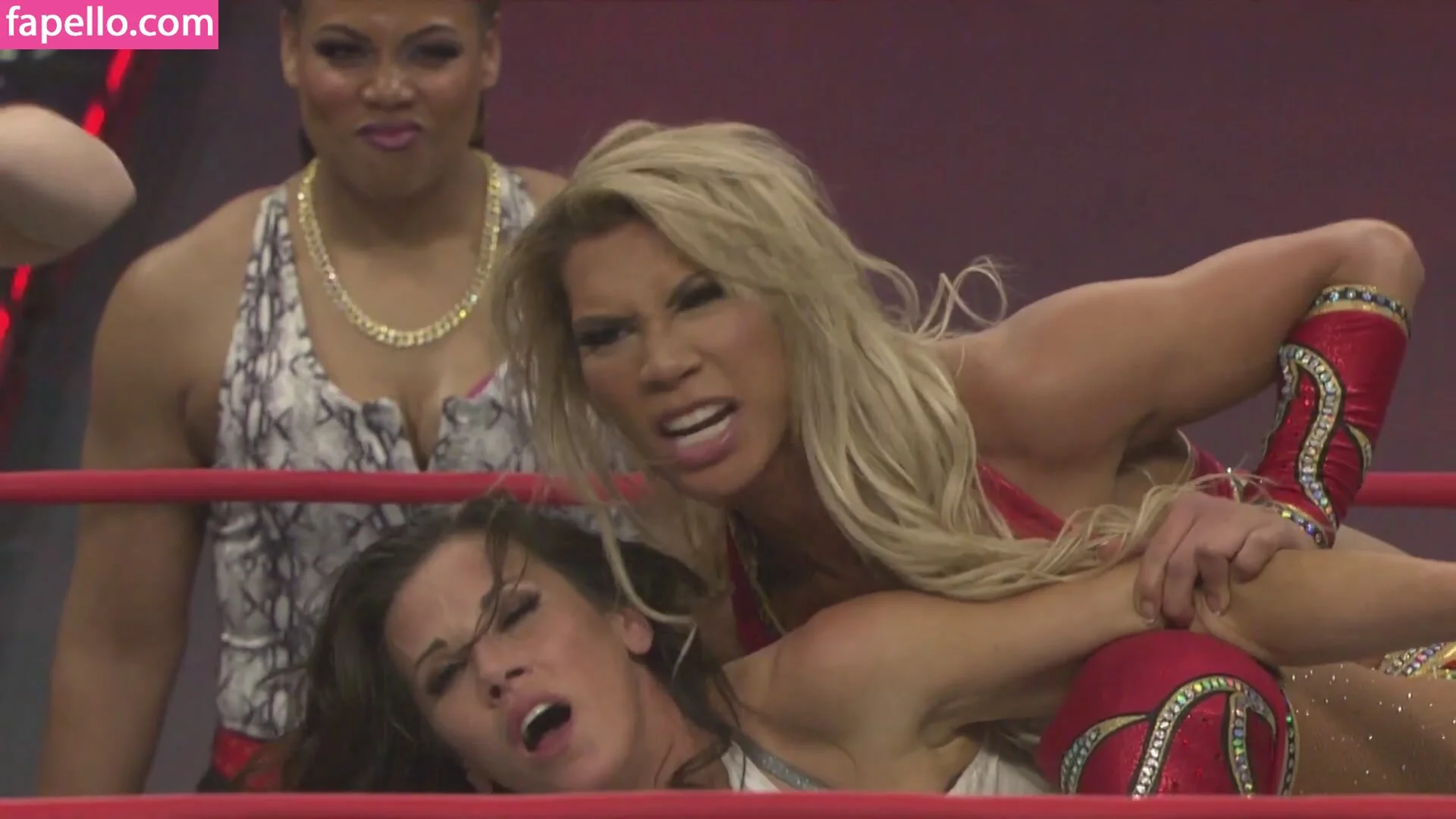 Mickie James Onlyfans Photo Gallery 