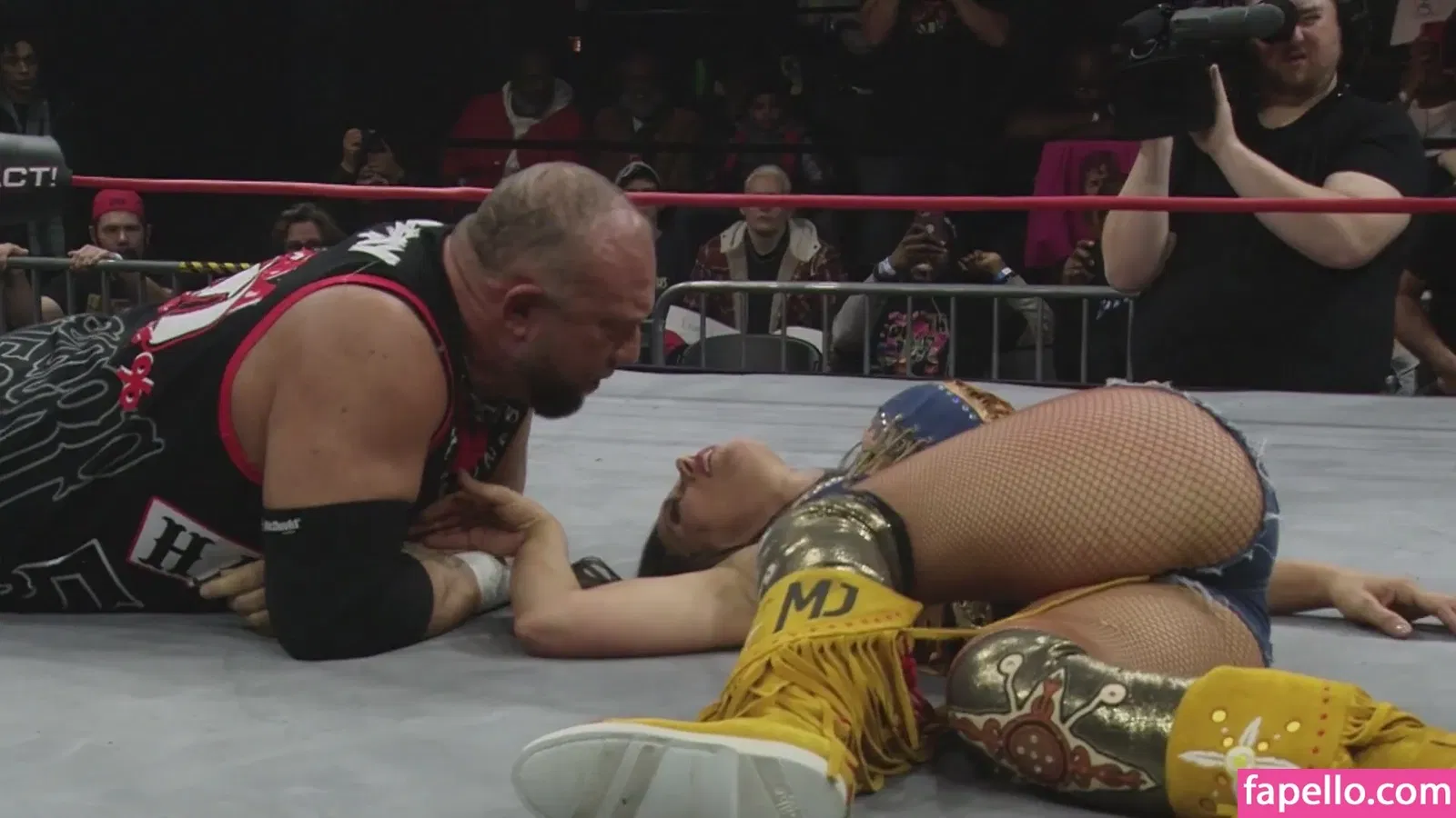 Mickie James Onlyfans Photo Gallery 