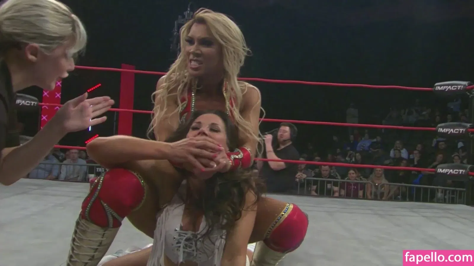 Mickie James Onlyfans Photo Gallery 