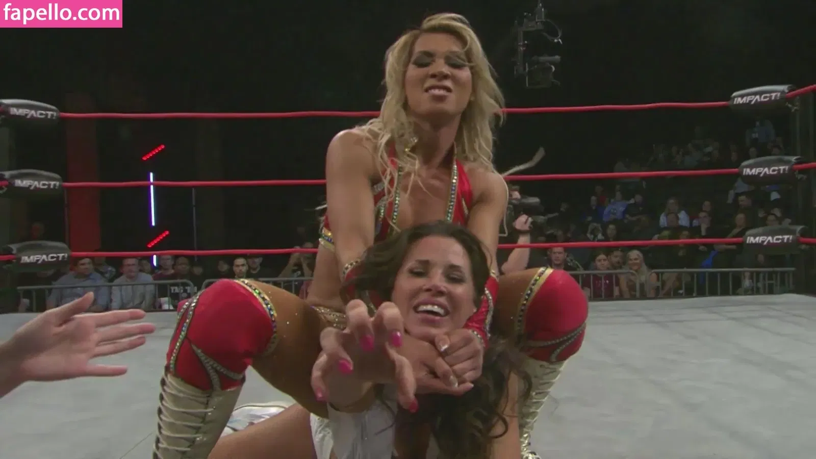 Mickie James Onlyfans Photo Gallery 