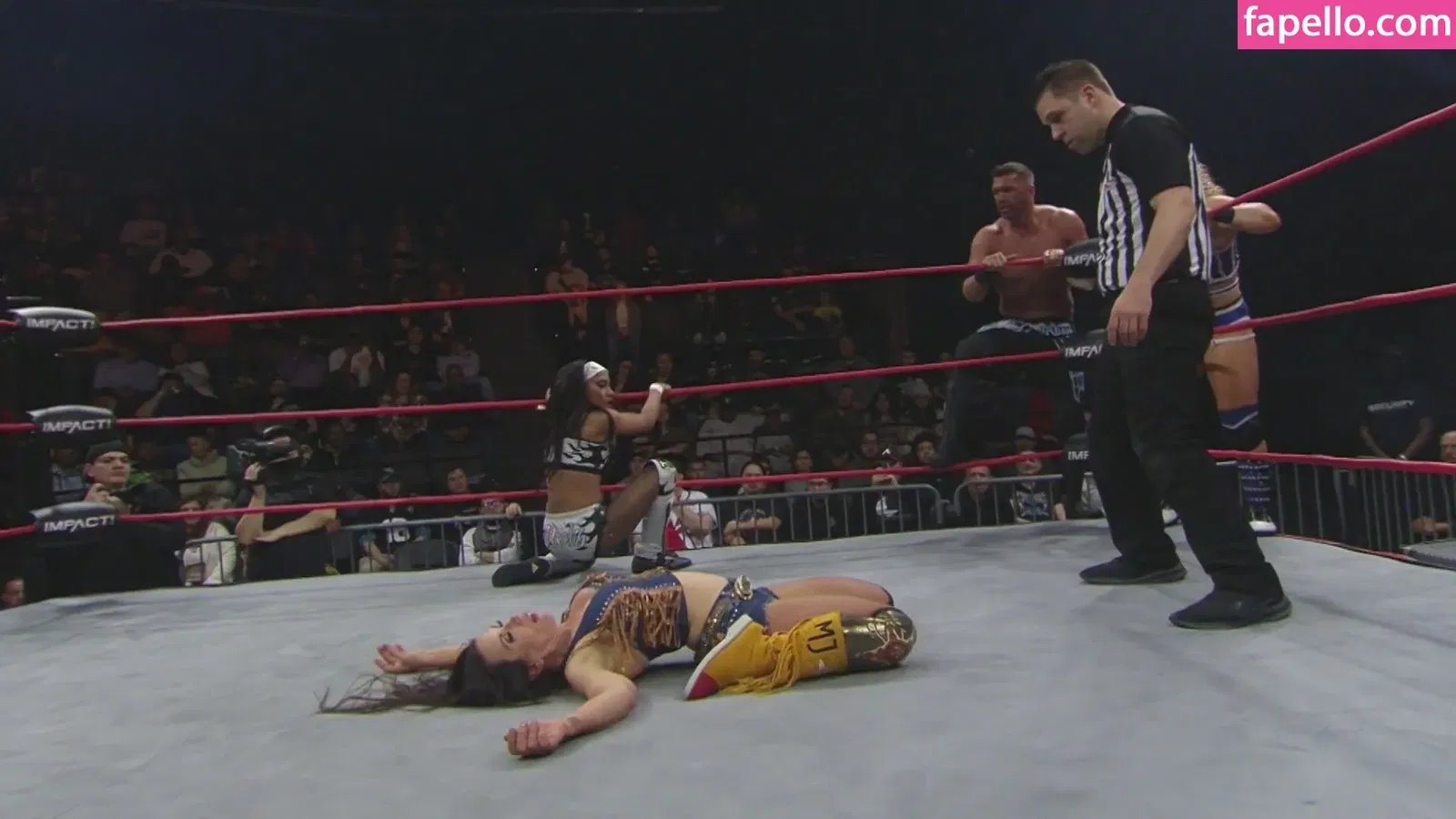 Mickie James Onlyfans Photo Gallery 