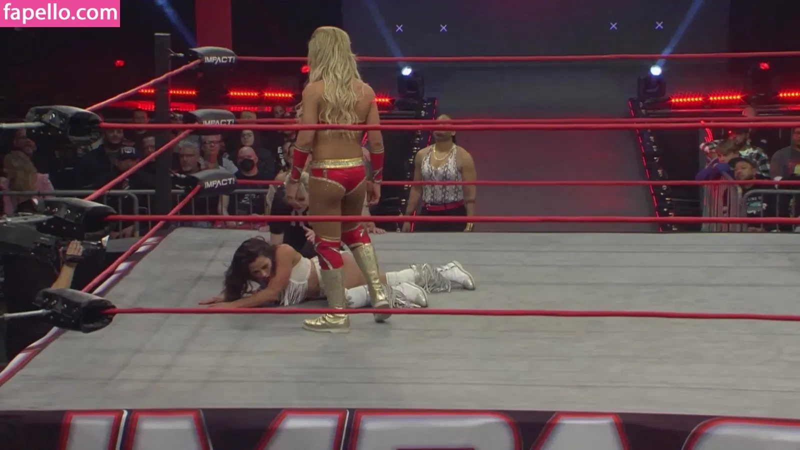 Mickie James Onlyfans Photo Gallery 