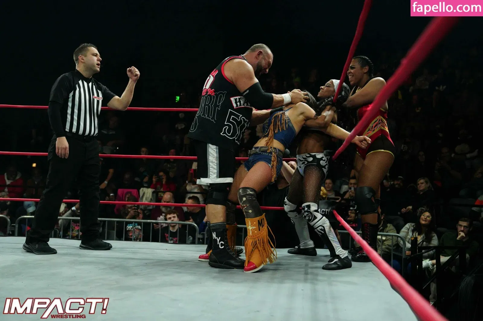 Mickie James Onlyfans Photo Gallery 