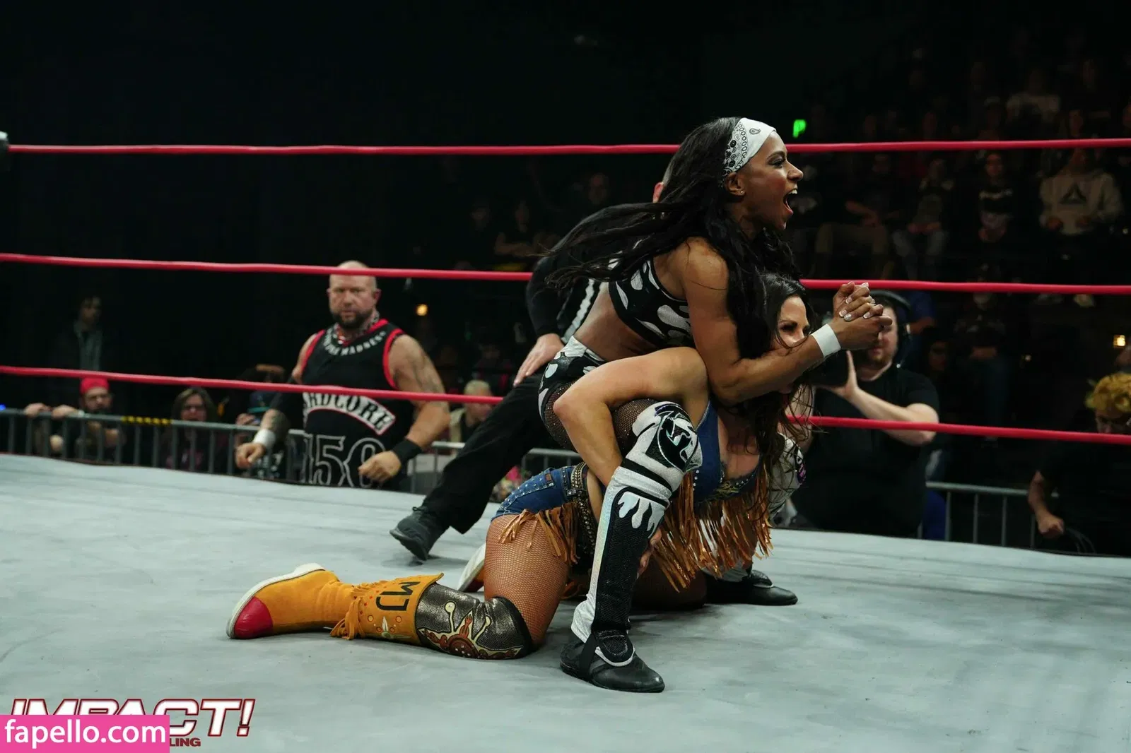 Mickie James Onlyfans Photo Gallery 