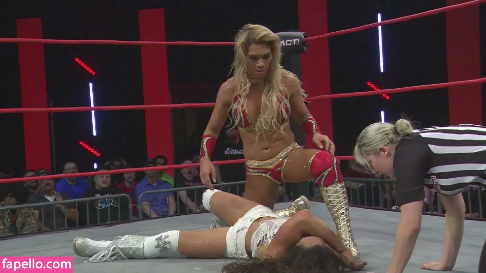 Mickie James Onlyfans Photo Gallery 