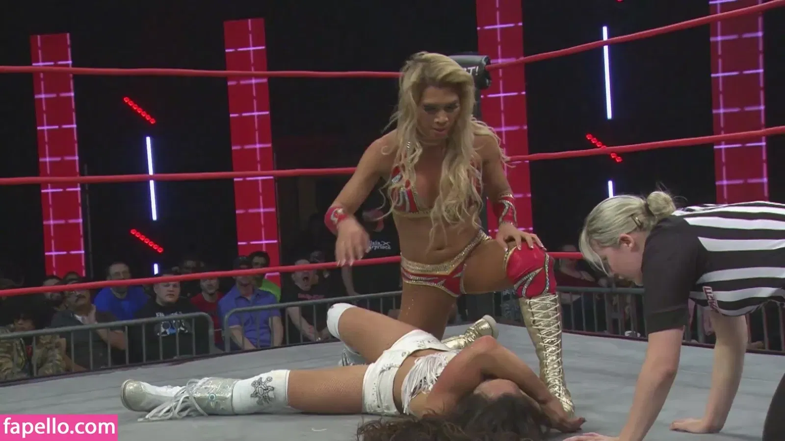 Mickie James Onlyfans Photo Gallery 