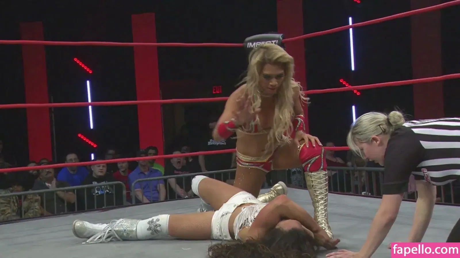 Mickie James Onlyfans Photo Gallery 