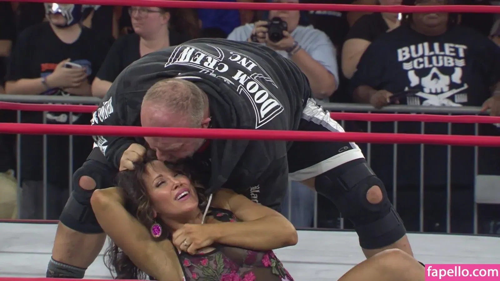 Mickie James Onlyfans Photo Gallery 