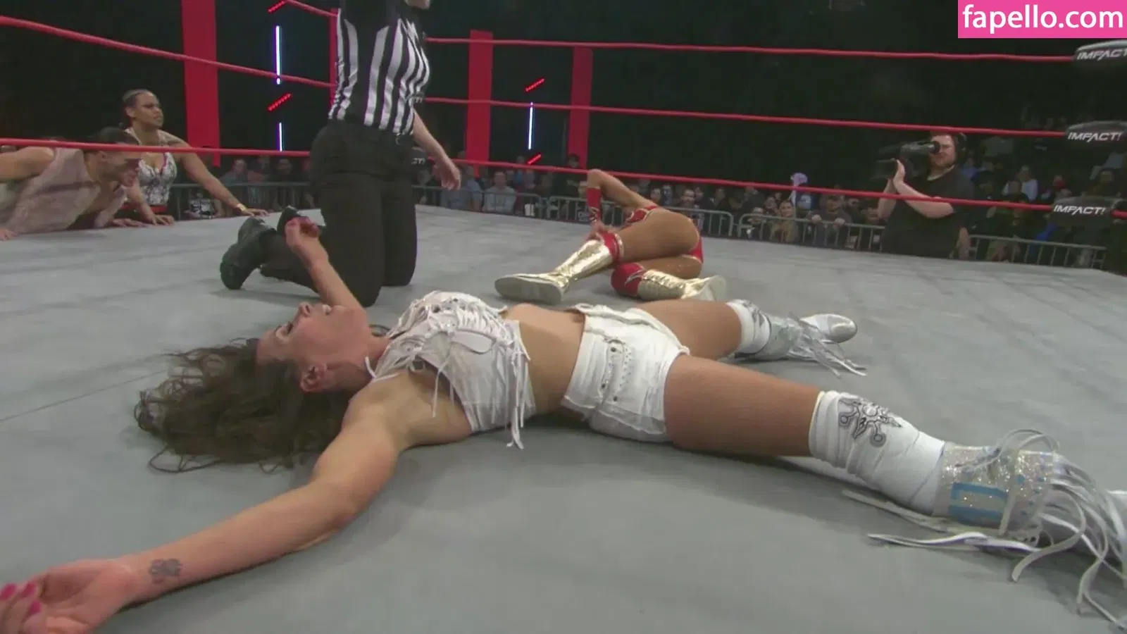 Mickie James Onlyfans Photo Gallery 