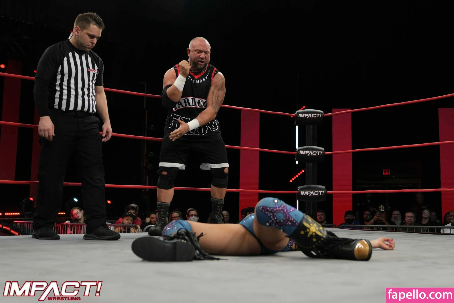 Mickie James Onlyfans Photo Gallery 