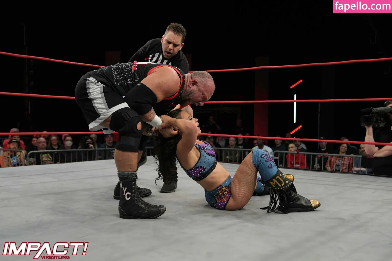 Mickie James Onlyfans Photo Gallery 