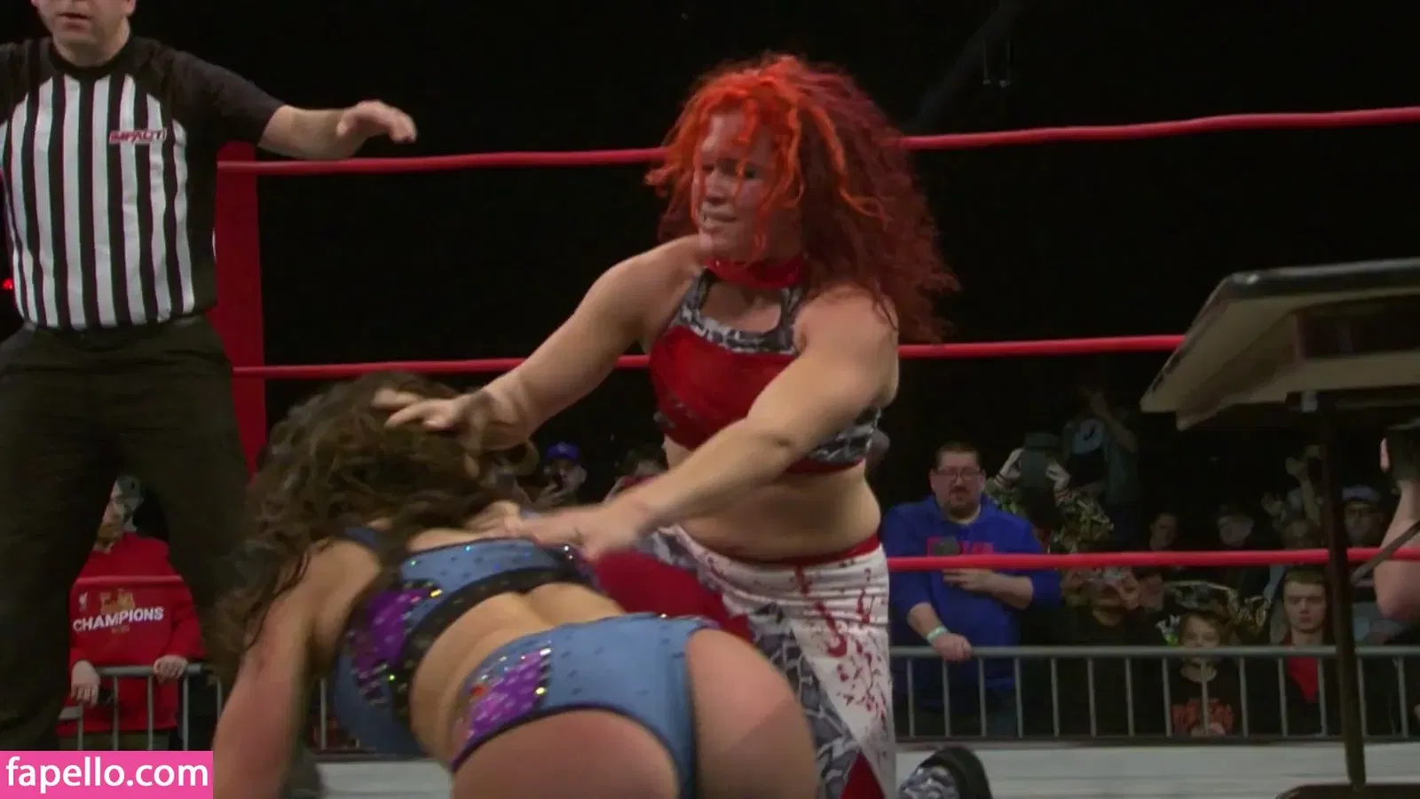 Mickie James Onlyfans Photo Gallery 