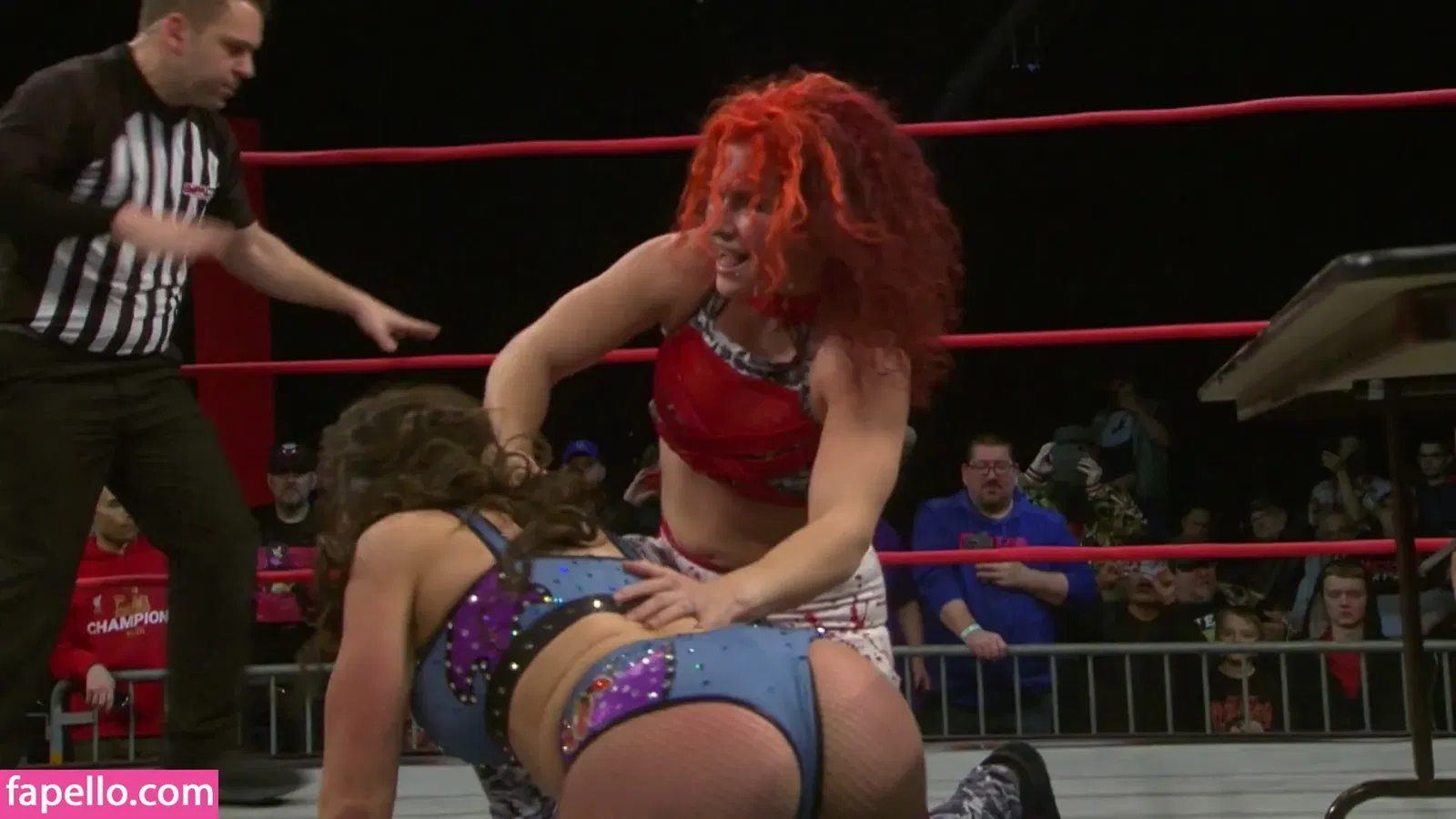 Mickie James Onlyfans Photo Gallery 