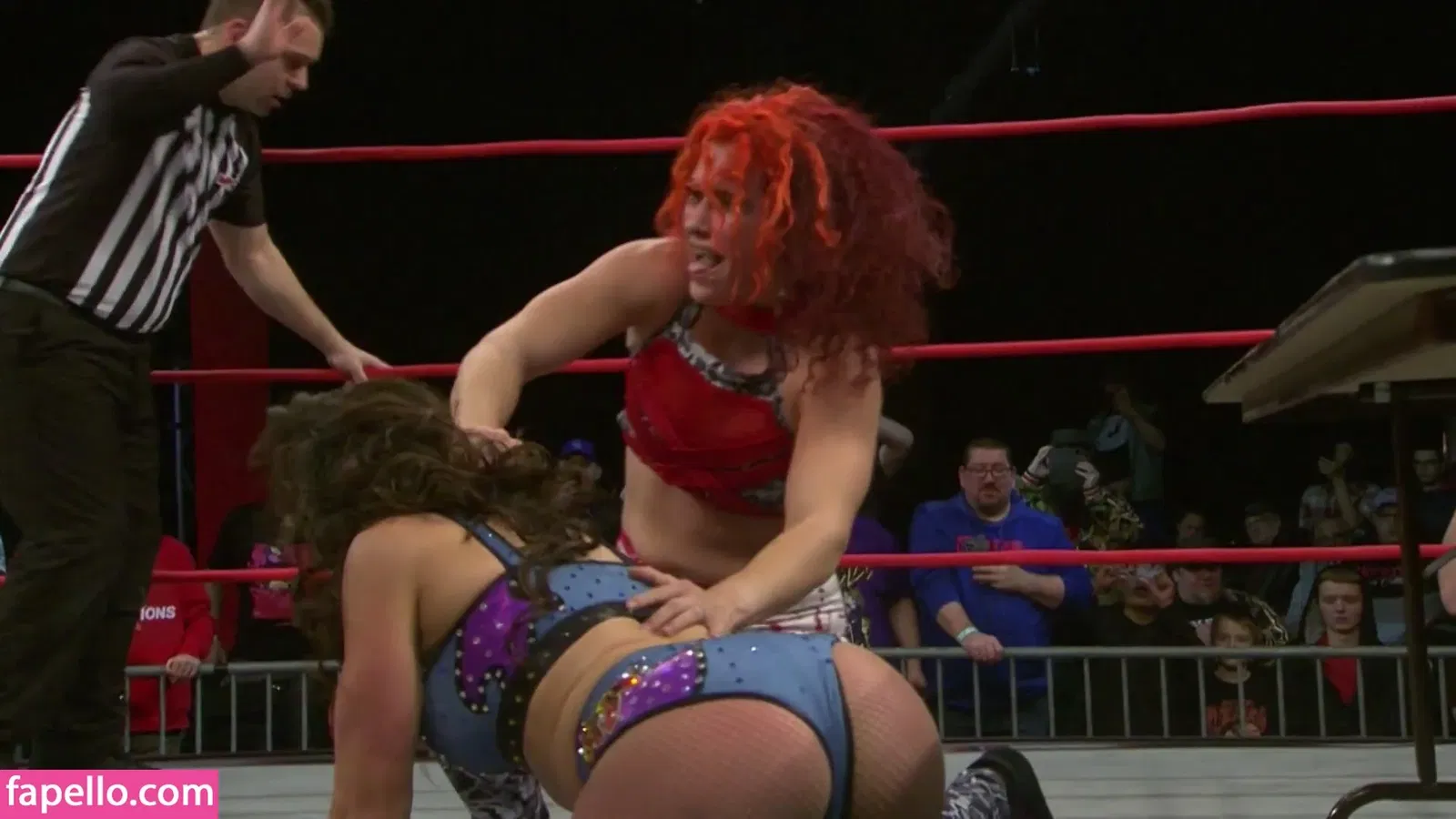 Mickie James Onlyfans Photo Gallery 