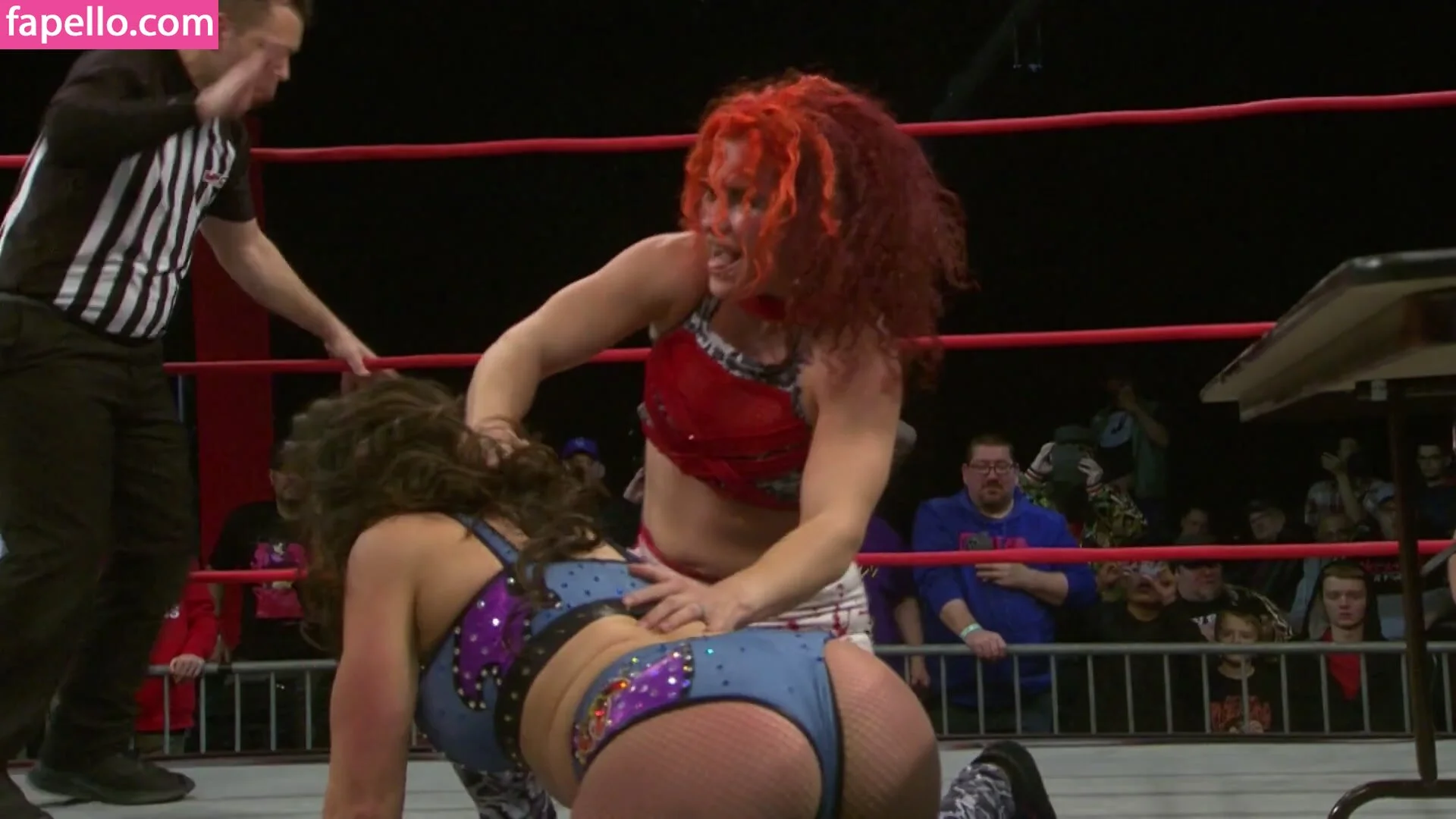 Mickie James Onlyfans Photo Gallery 